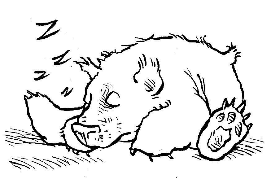 nounours Coloriage nounours