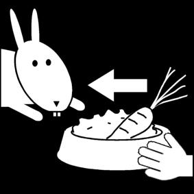 nourrir le lapin Coloriage nourrir le lapin