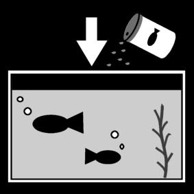 nourrir les poissons Coloriage nourrir les poissons