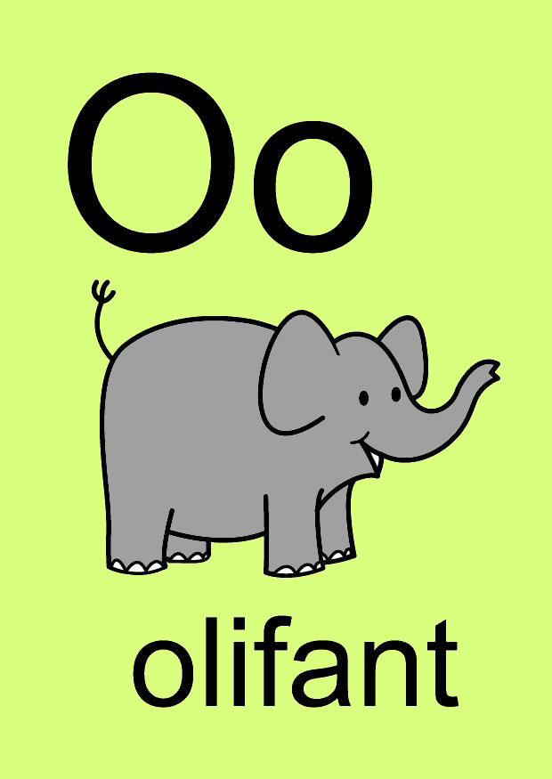 o Image o