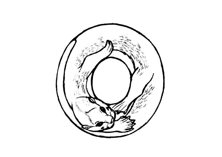 o-otter Coloriage o-otter