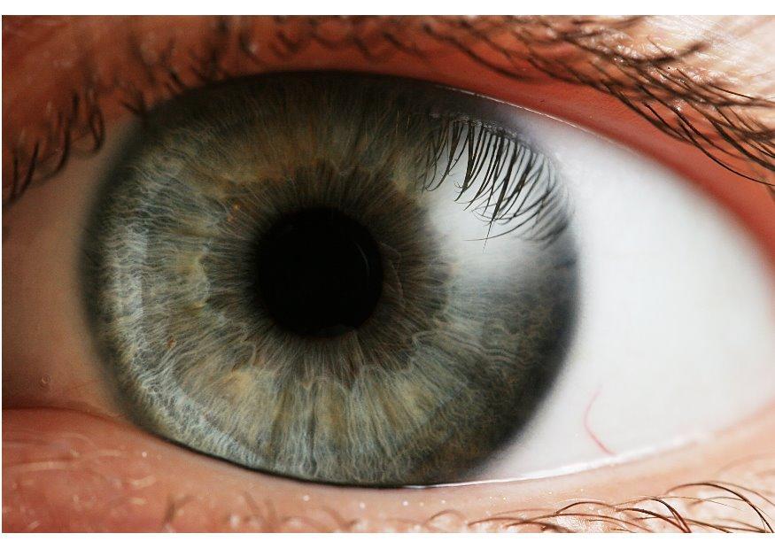 oeil - iris Photo oeil - iris