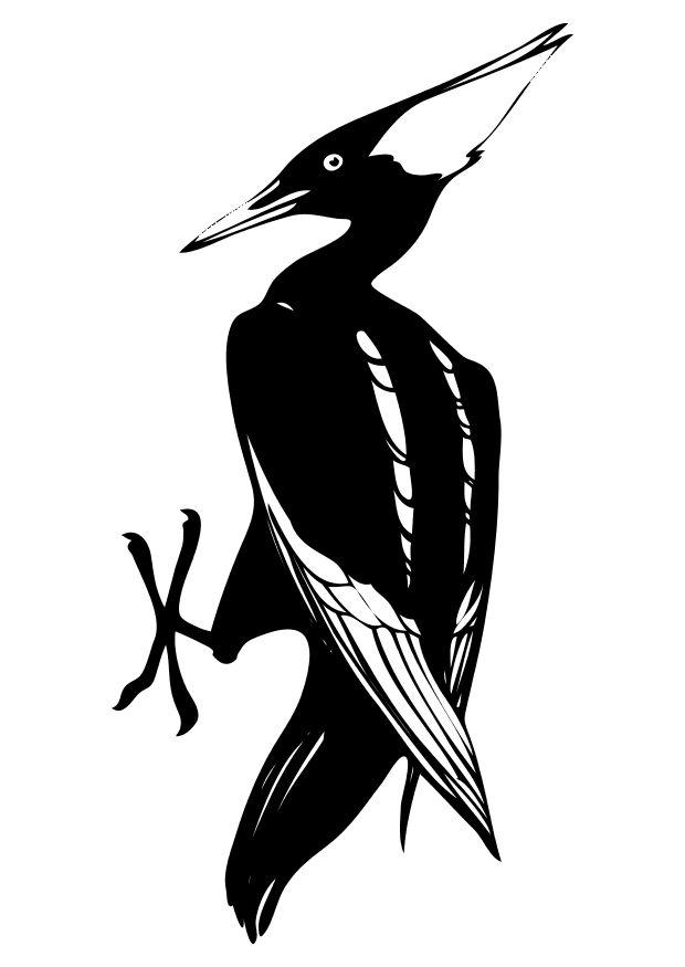 oiseau Coloriage oiseau