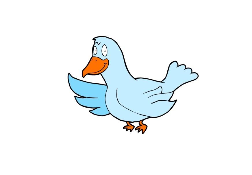 Image oiseau