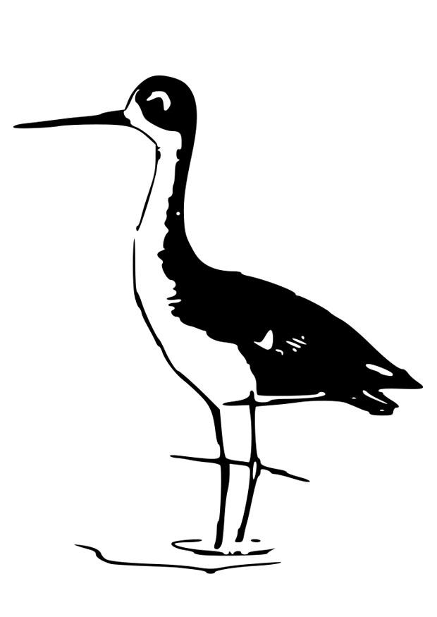 oiseau Coloriage oiseau