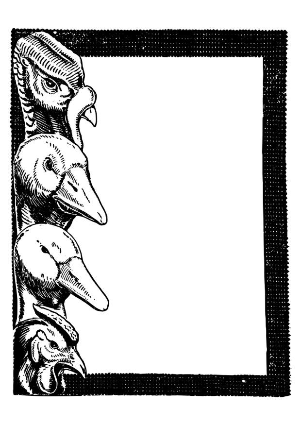 oiseaux Coloriage oiseaux