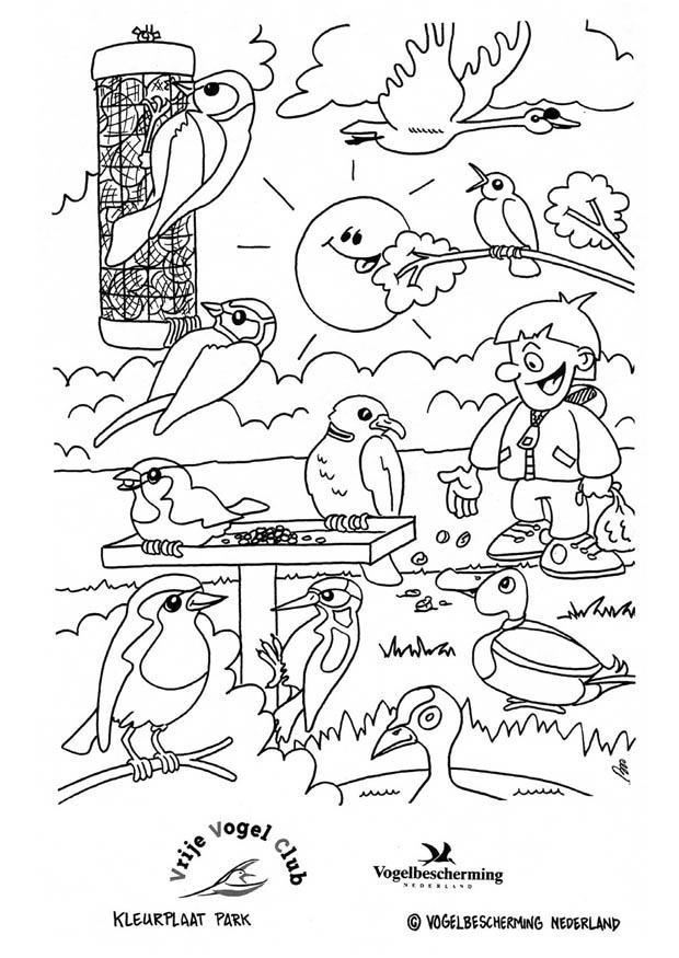 oiseaux dans un parc Coloriage oiseaux dans un parc
