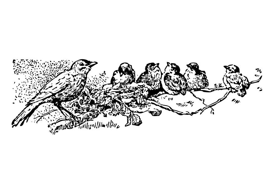 oiseaux - mA¨re avec jeune Coloriage oiseaux - mA¨re avec jeune
