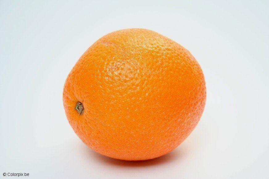 orange Photo orange