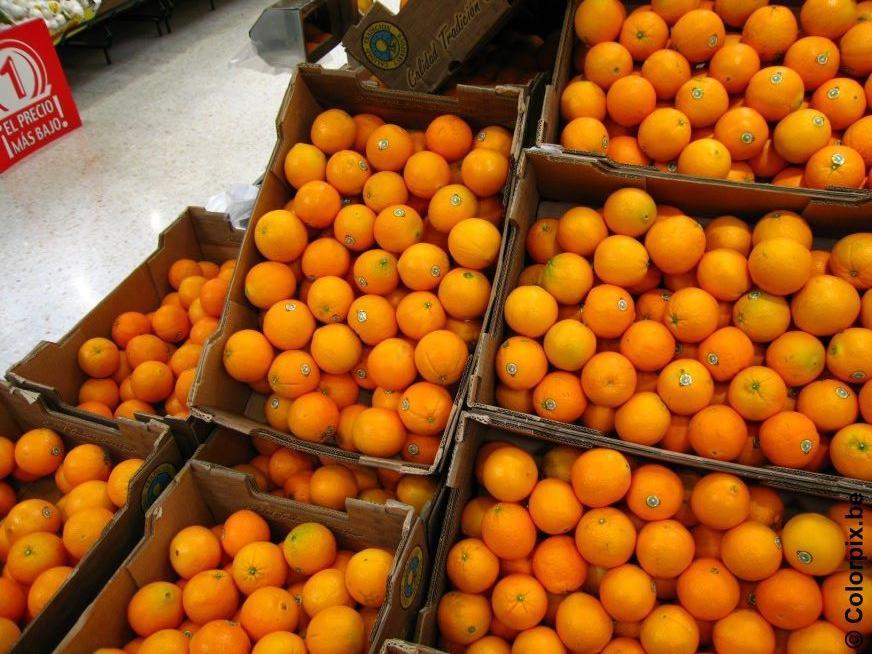 oranges Photo oranges
