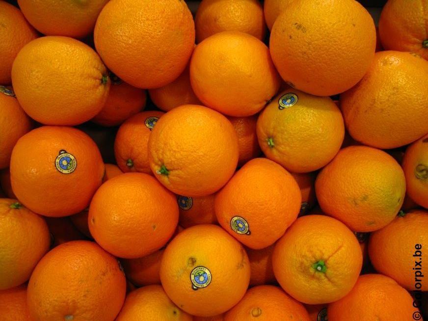 oranges Photo oranges