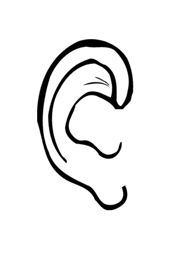 oreille Coloriage oreille