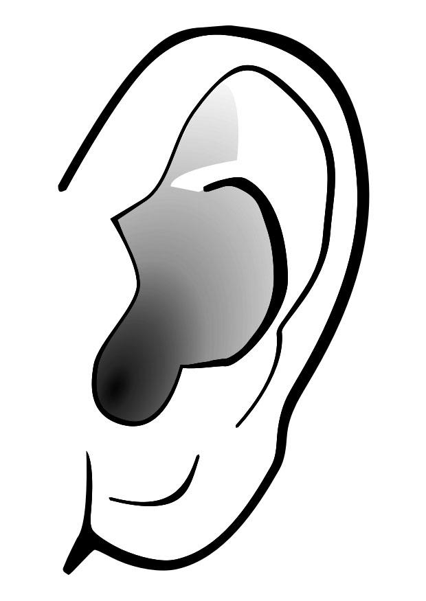 oreille - silence Coloriage oreille - silence