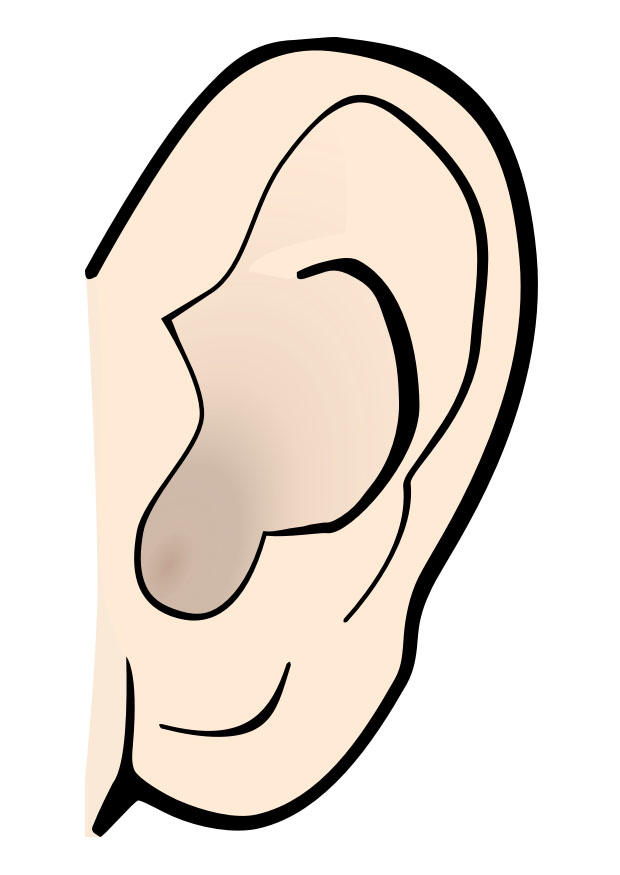 oreille - silencieux Image oreille - silencieux
