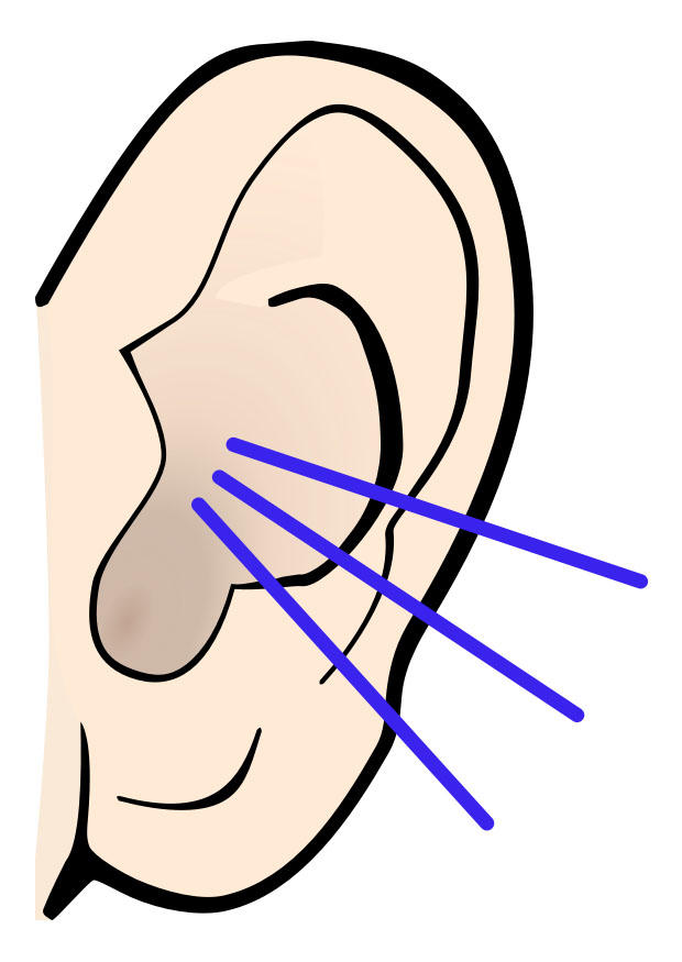 oreille - son Image oreille - son