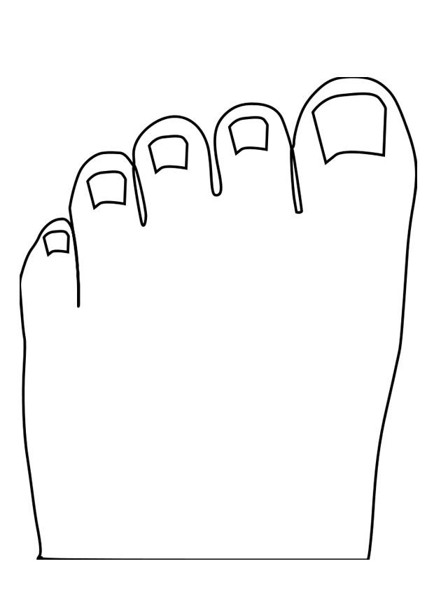 orteils Coloriage orteils