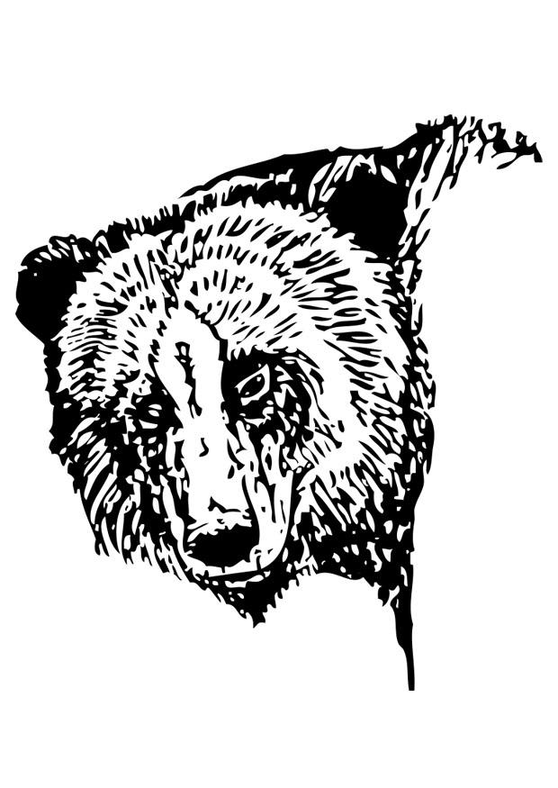 ours Coloriage ours