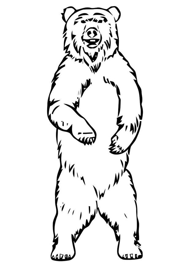 ours Coloriage ours