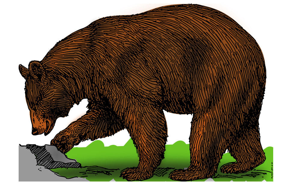 ours Image ours