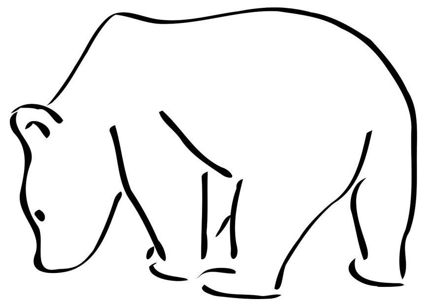 ours polaire Coloriage ours polaire