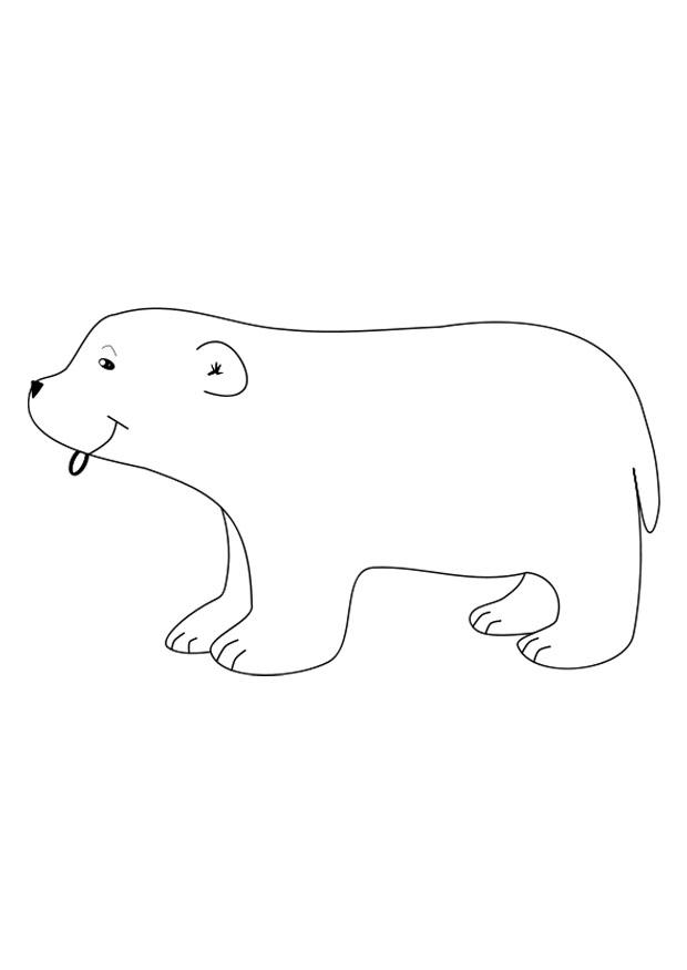 ours polaire Coloriage ours polaire