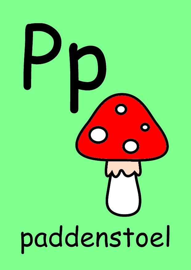 p Image p