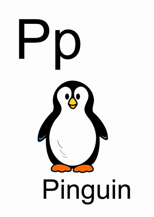 p Image p