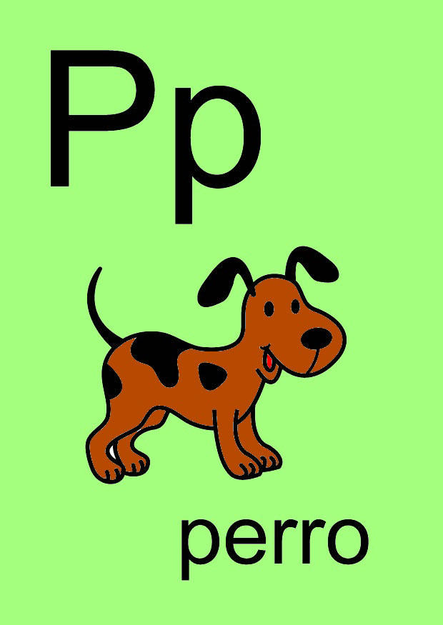 p Image p