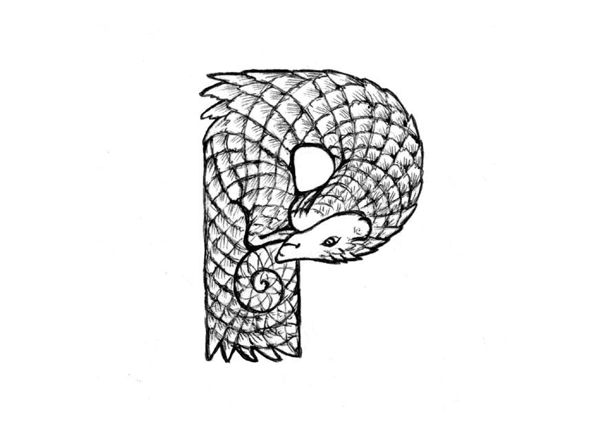 p-pangolin Coloriage p-pangolin