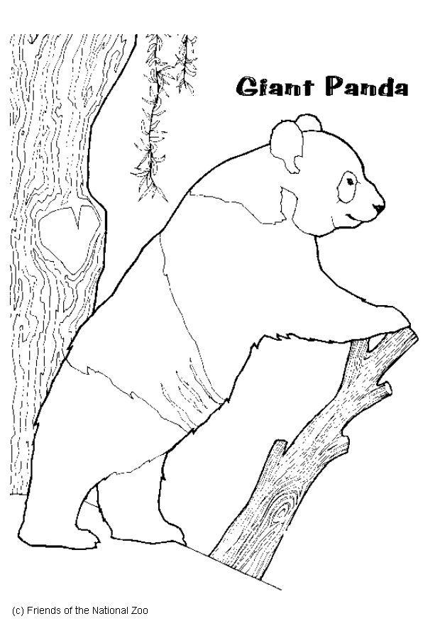panda Coloriage panda