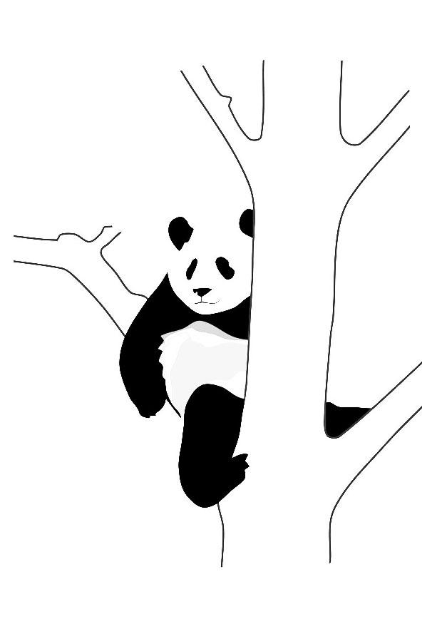 panda dans un arbre Coloriage panda dans un arbre