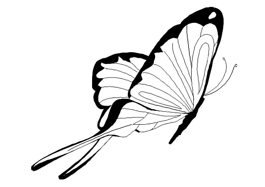 papillon Coloriage papillon