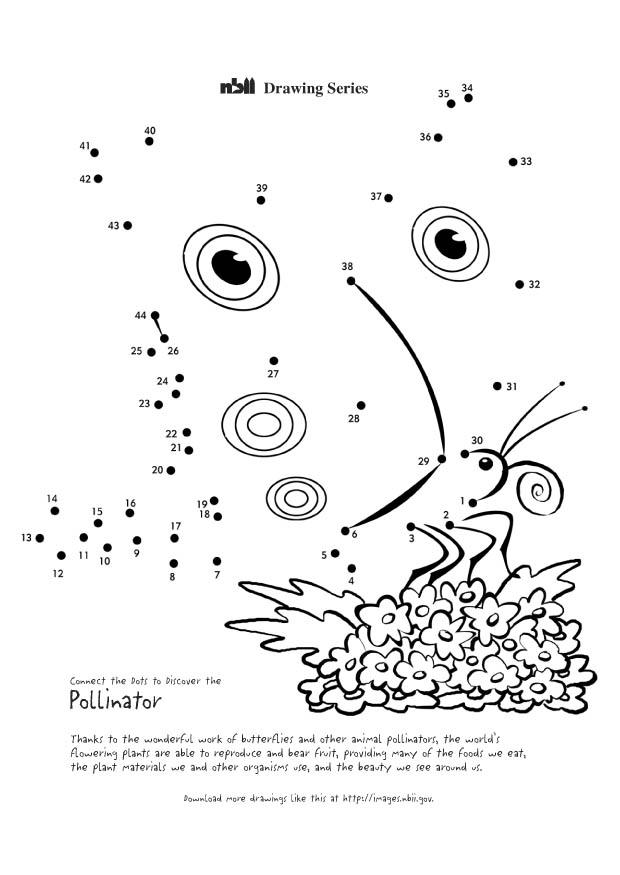 papillon Coloriage papillon