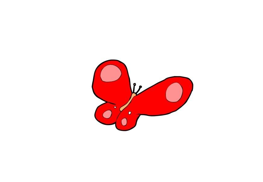 papillon Image papillon