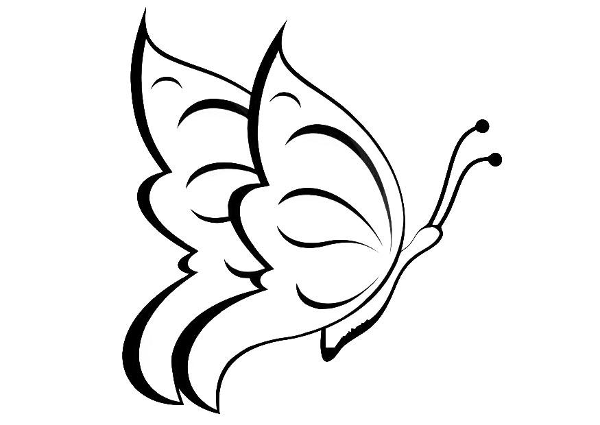 papillon Coloriage papillon