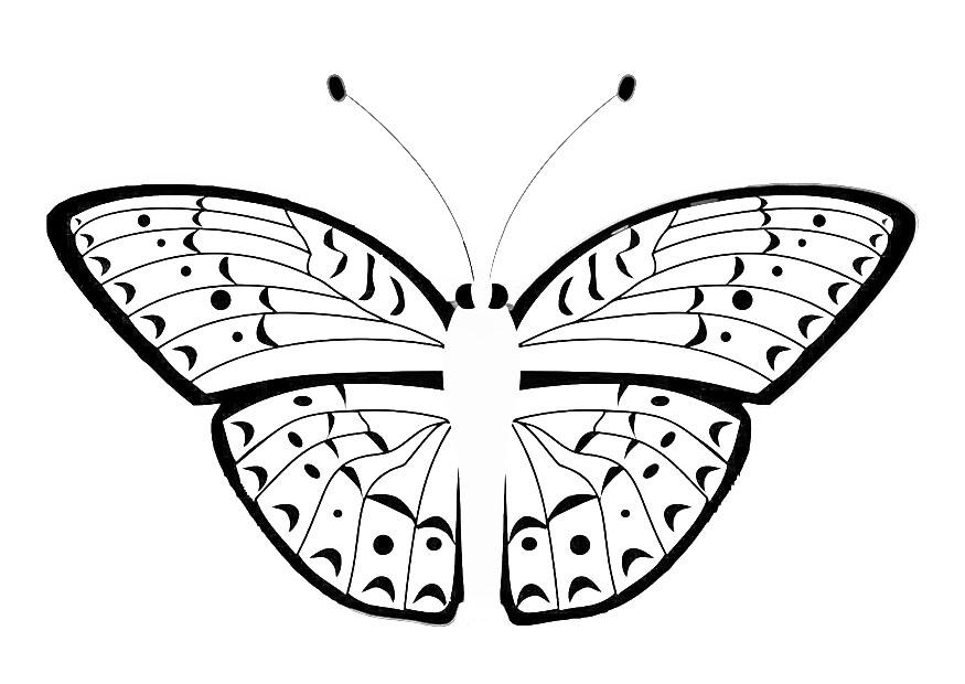 papillon Coloriage papillon