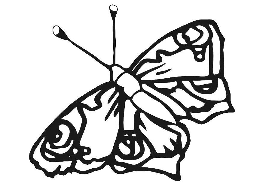 papillon Coloriage papillon