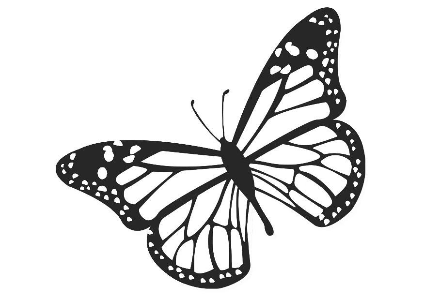 papillon Coloriage papillon