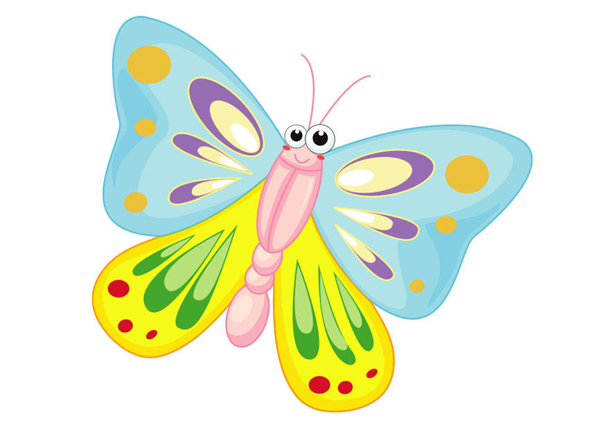 papillon Image papillon