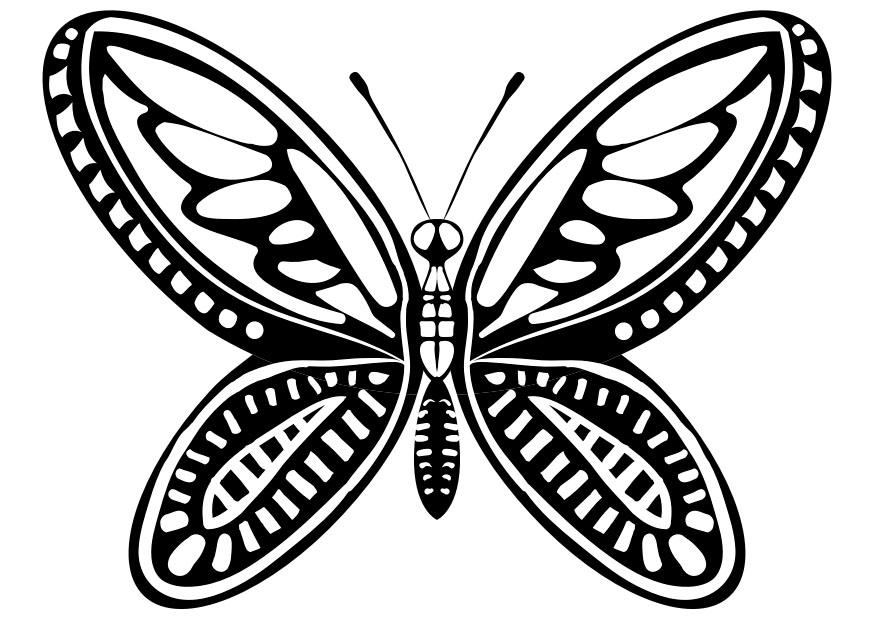 papillon Coloriage papillon