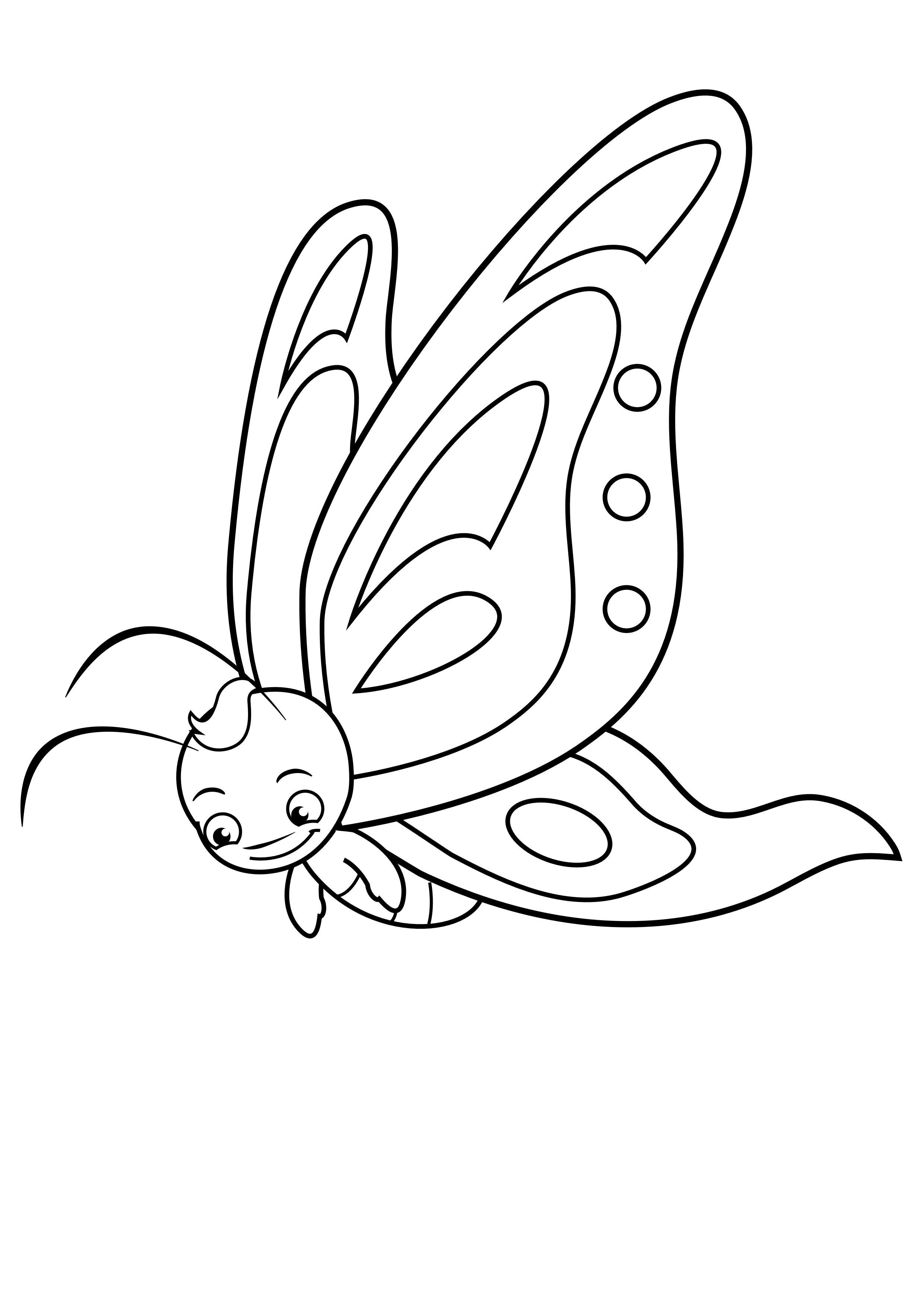 papillon Coloriage papillon