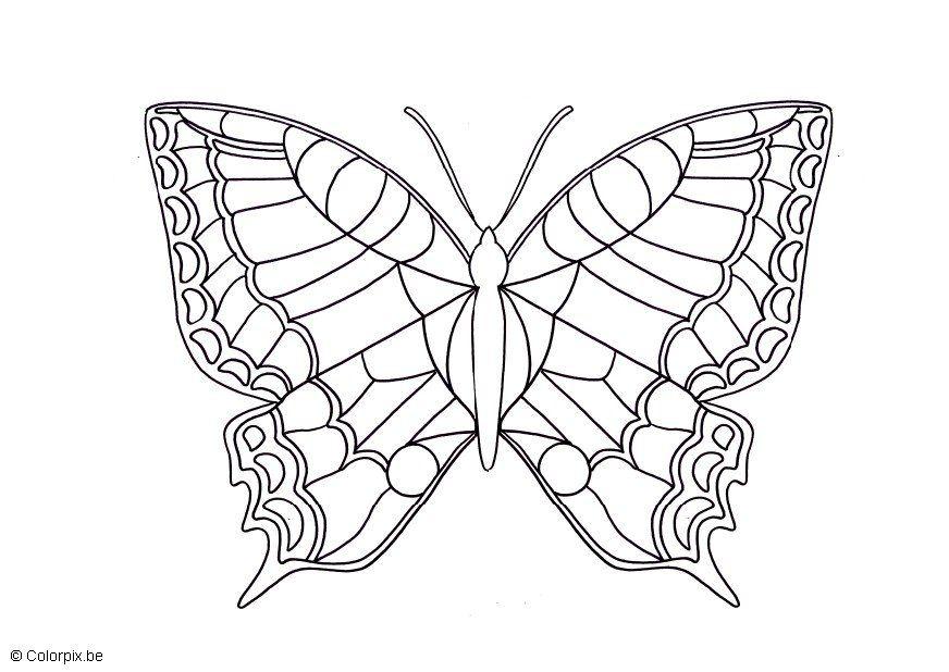 papillon Coloriage papillon
