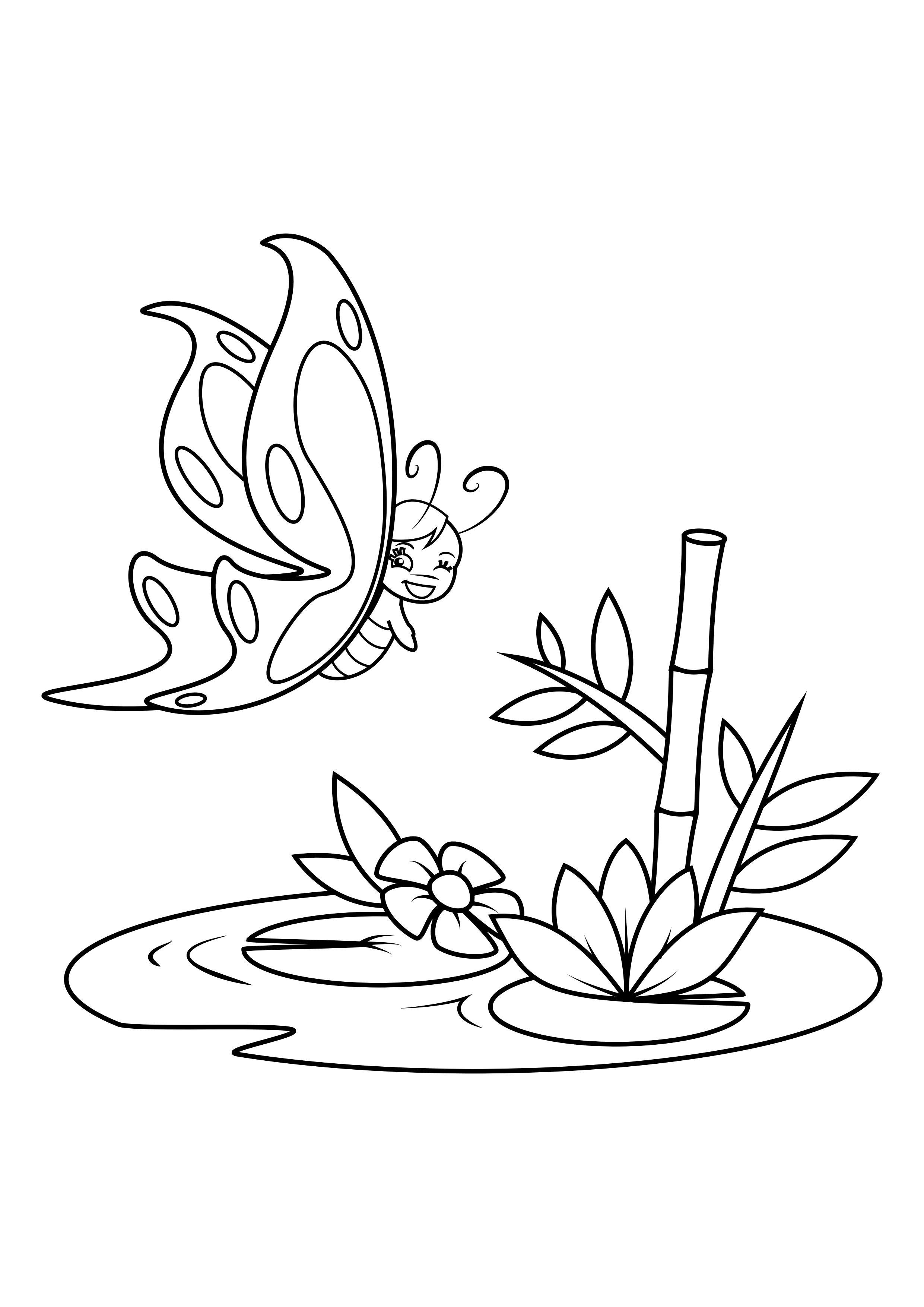 papillon au-dessus de l'eau Coloriage papillon au-dessus de l'eau