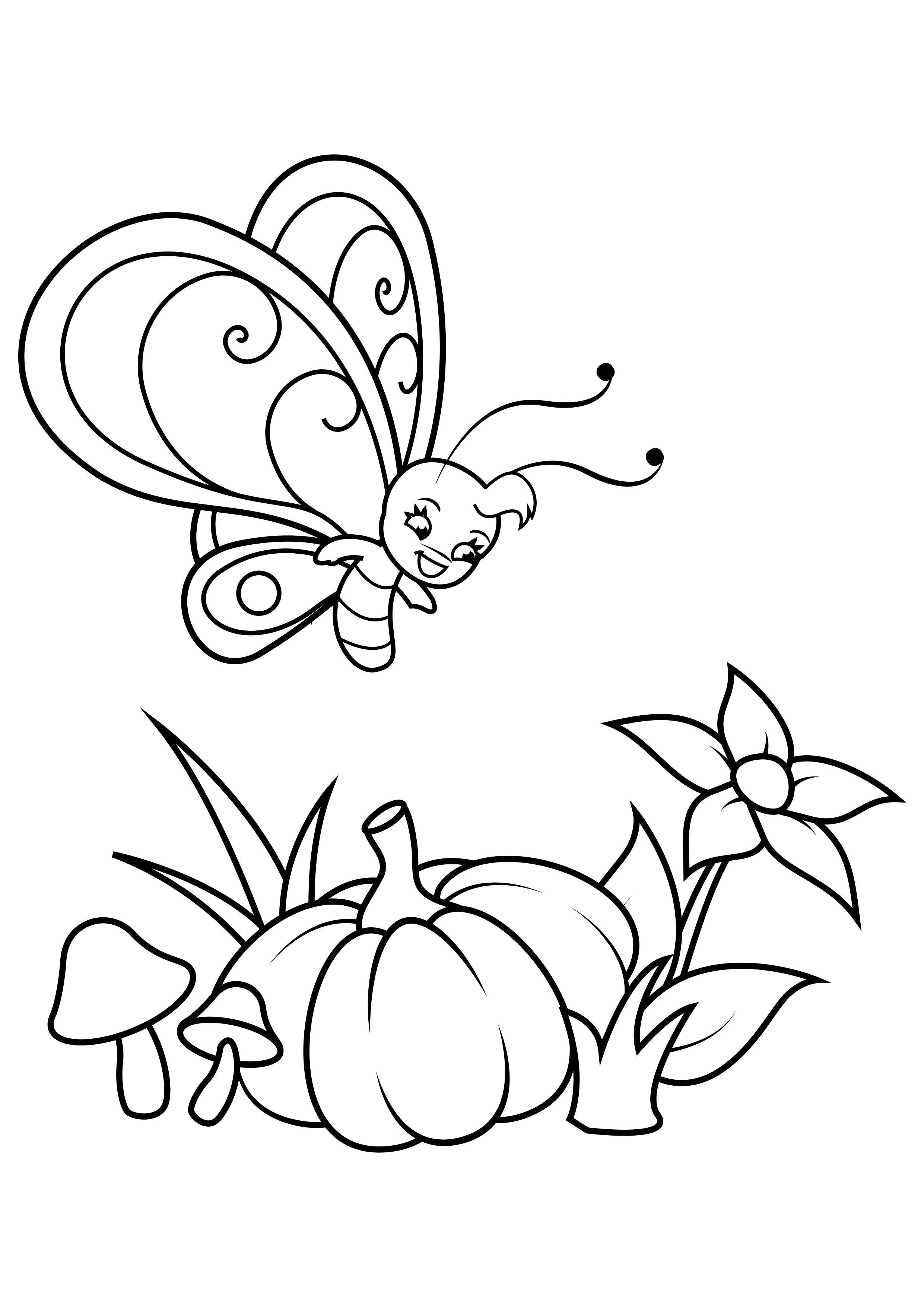 papillon au-dessus de la fleur et de la citrouille Coloriage papillon au-dessus de la fleur et de la citrouille
