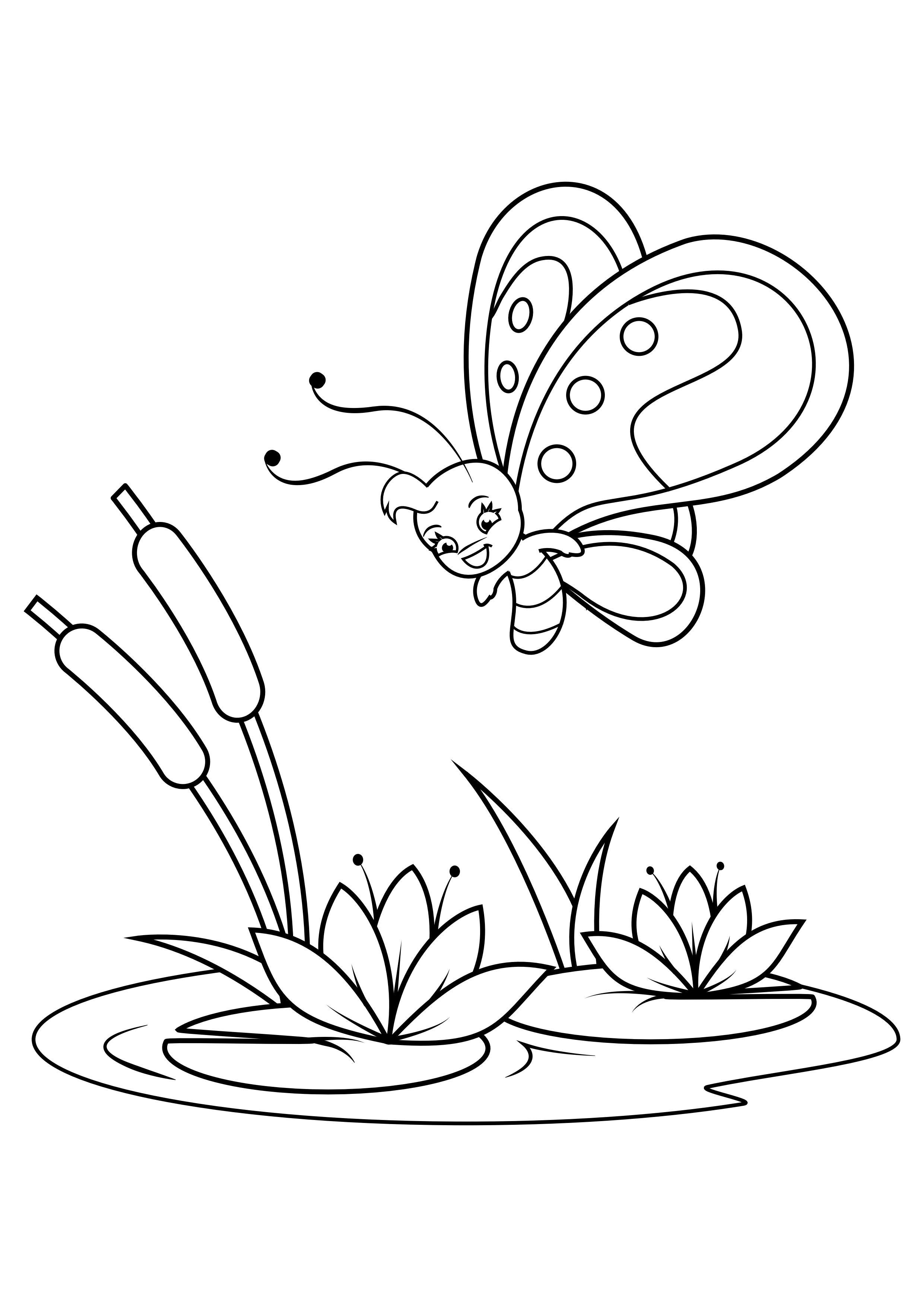 papillon au-dessus des nA©nuphars Coloriage papillon au-dessus des nA©nuphars