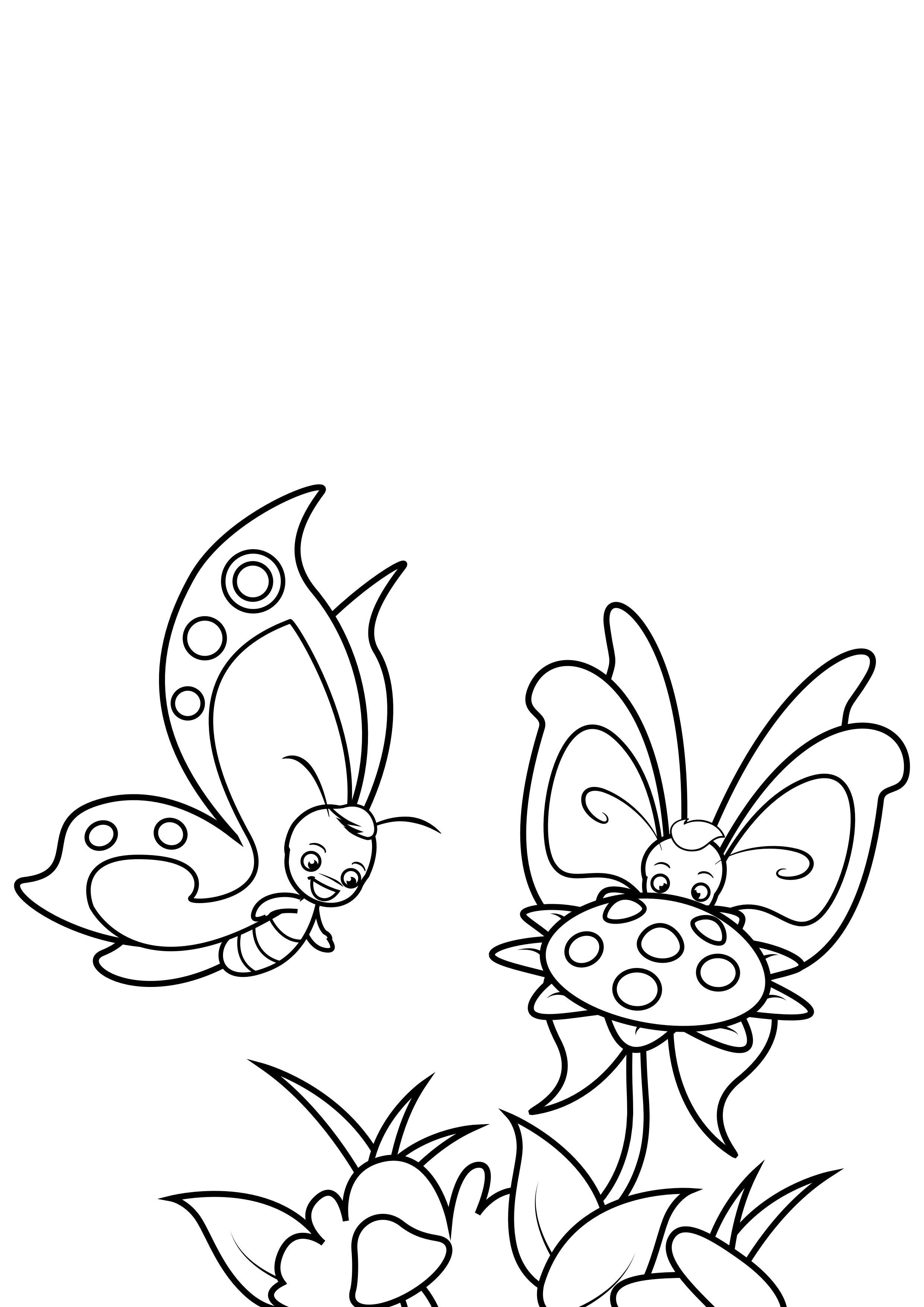 papillon avec un ami Coloriage papillon avec un ami