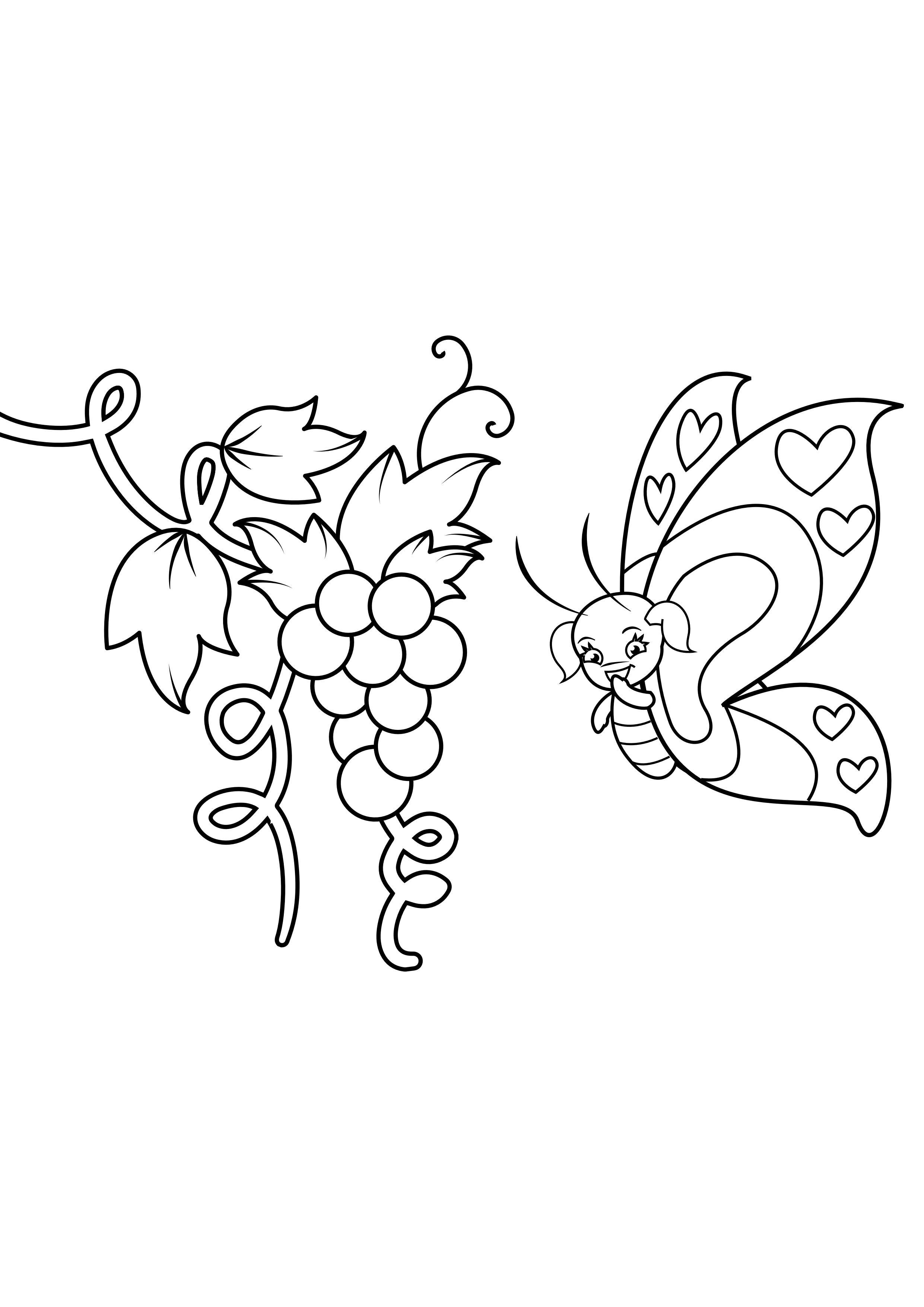 papillon dans les raisins Coloriage papillon dans les raisins