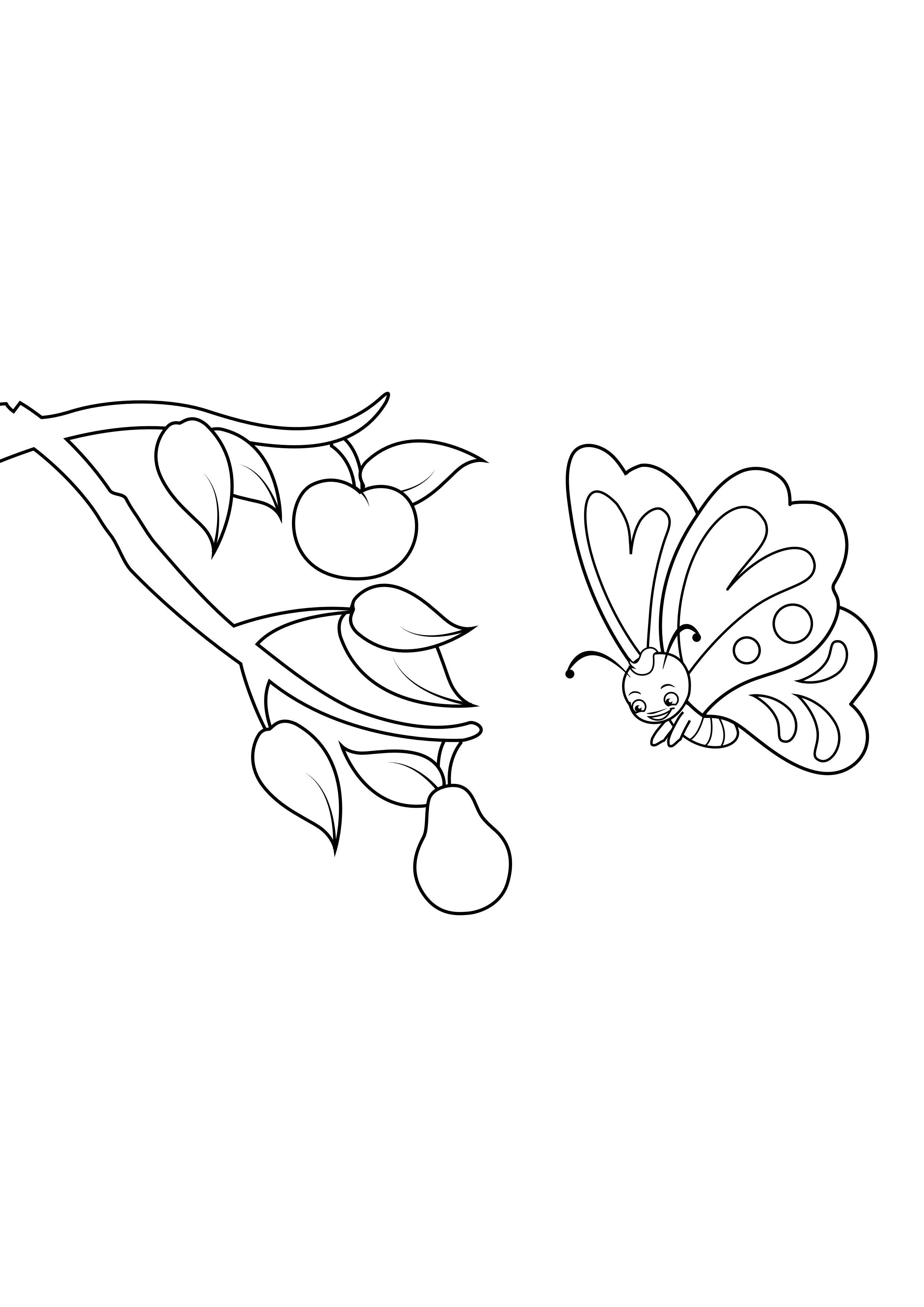 papillon voit poire Coloriage papillon voit poire