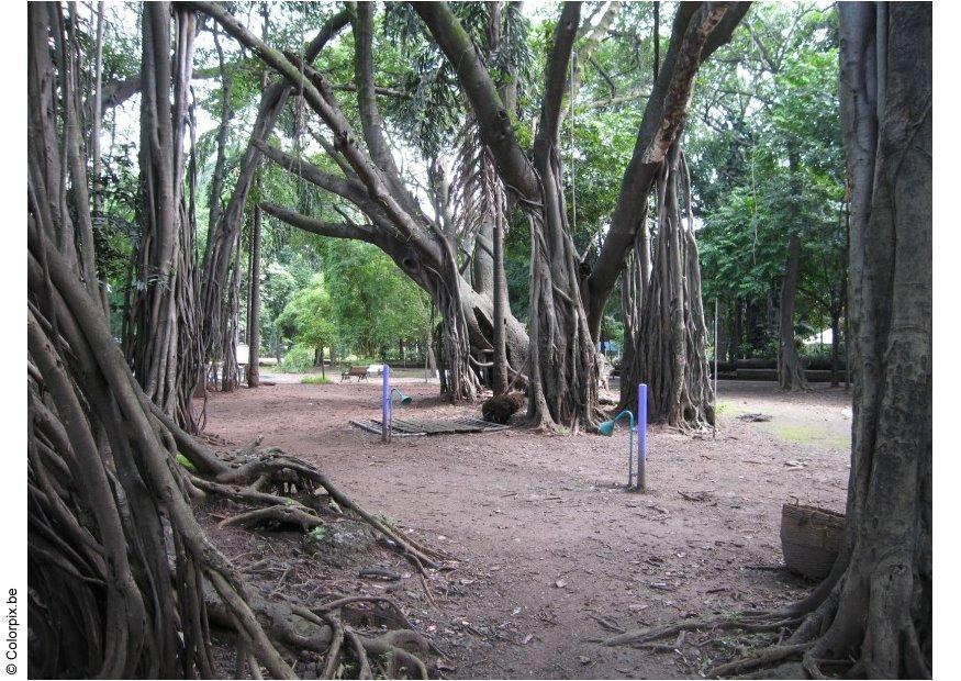 parc puna Photo parc puna