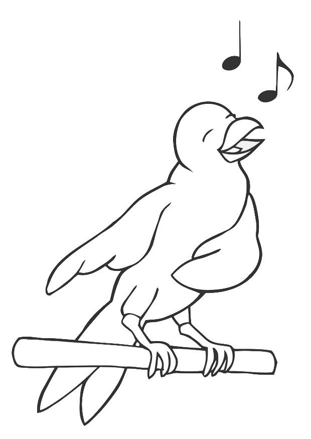 passerau Coloriage passerau